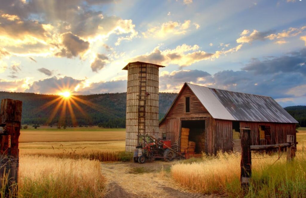 Family Farm